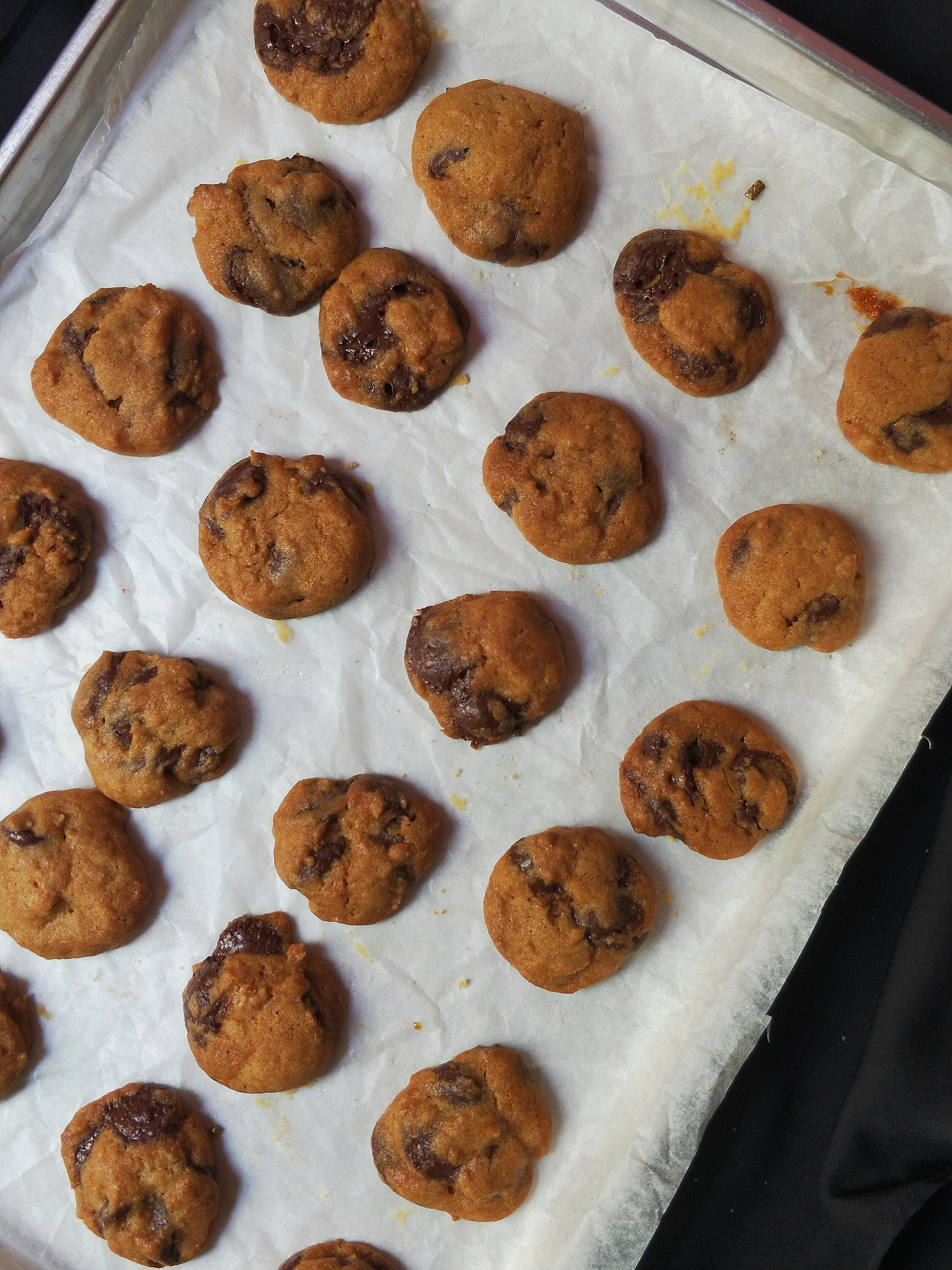Macadamia Chocolate Chip Cookies