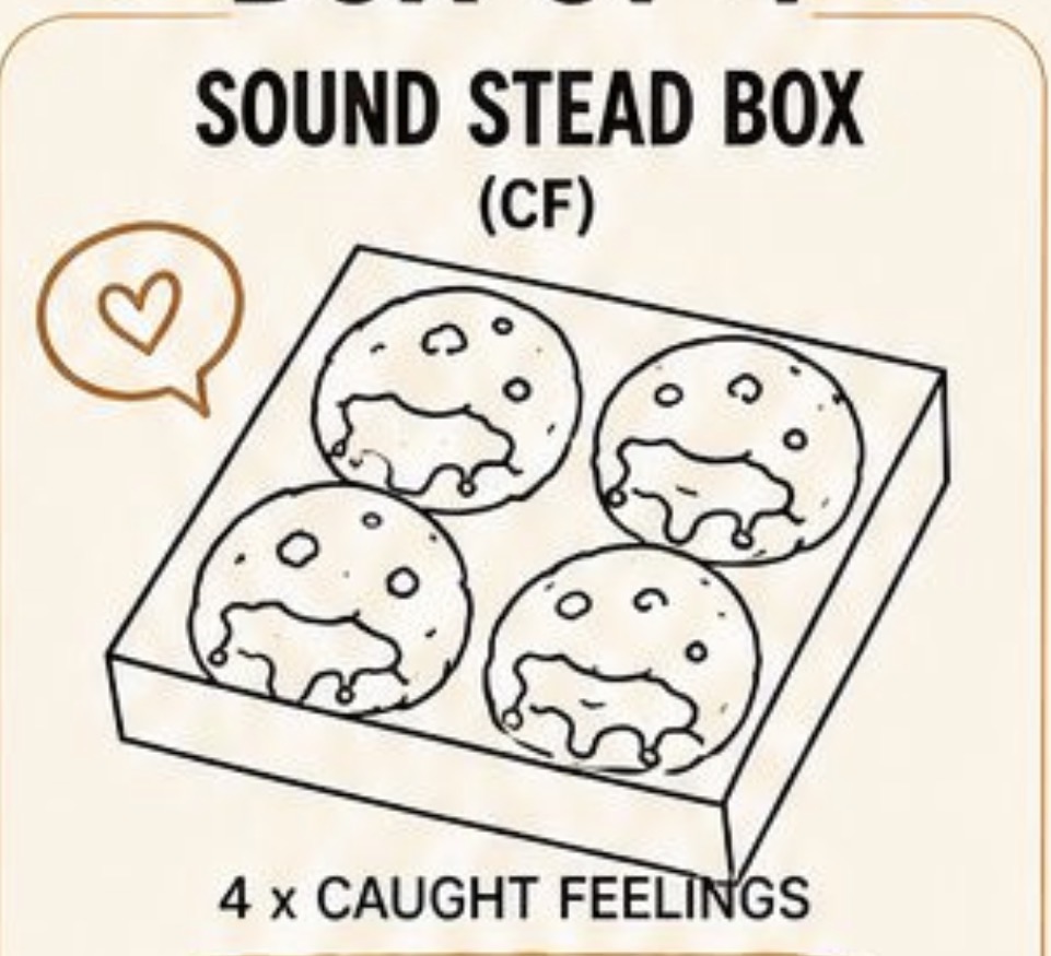 Box of 4: Sound Stead Box