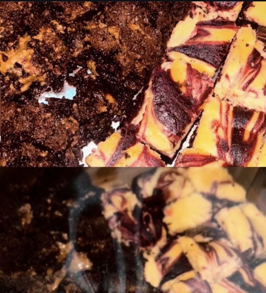 Biscoff brownie