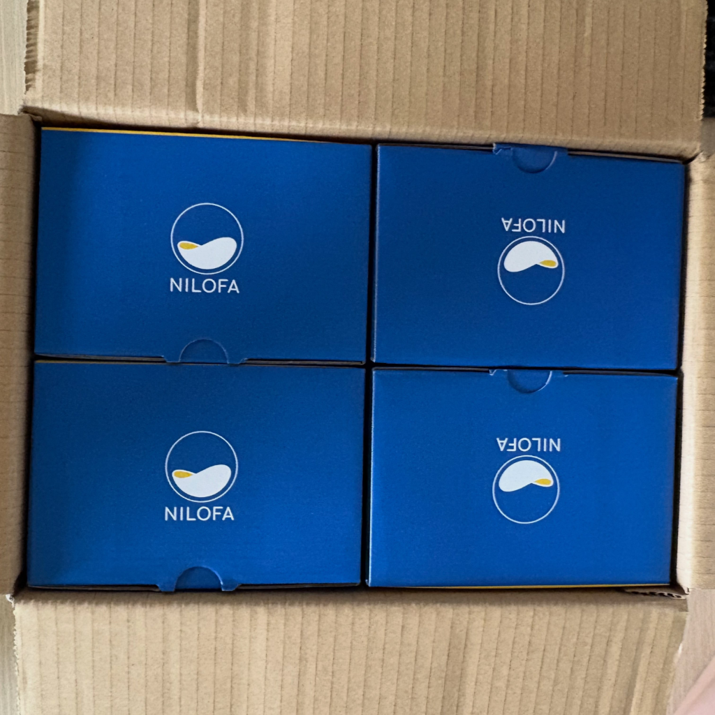 Nilofa Banana Milk - 1 Carton