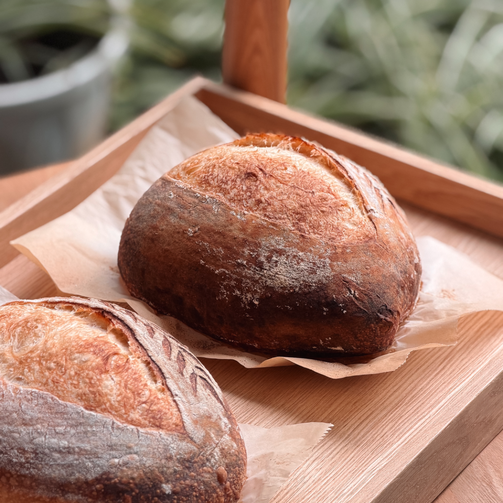 The pillow series - Daily Dough