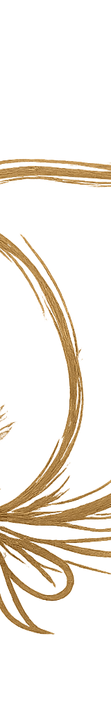 reemsdream logo